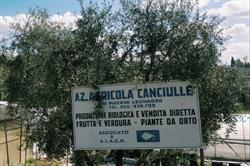Azienda Agricola Canciulle, San Casciano in Val di Pesa orari di apertura