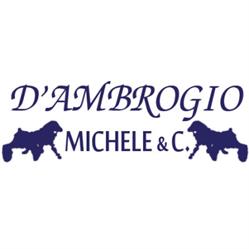 D'Ambrogio Michele e C., Palermo orari di apertura