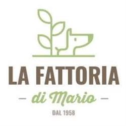 La Fattoria di Mario S.n.c. di Tramontan Alessandro & C., Abano Terme orari di apertura