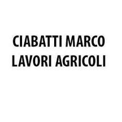 Ciabatti Marco Lavori Agricoli, Carmignano orari di apertura