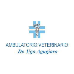 Ambulatorio Veterinario Dr. Ugo Agugiaro, Piazzola sul Brenta orari di apertura