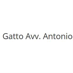 Gatto Avv. Antonio, Ferrara orari di apertura