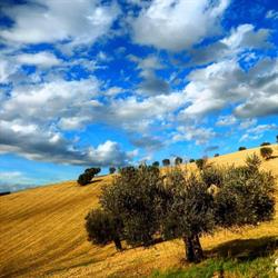 Immobiliare Mare e Colline, San Benedetto del Tronto orari di apertura