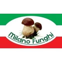 Milano Funghi, Rozzano orari di apertura