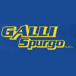 Gruppo Gavi Srl, Pietrasanta orari di apertura