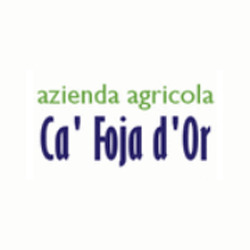 Ca' Foja D'Or, Neviglie orari di apertura