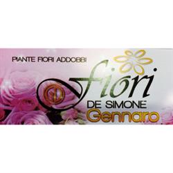 Fiorista Gennaro De Simone, Vairano Patenora orari di apertura