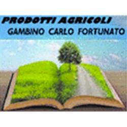 Gambino Tutto per L'Agricoltura, Sant'Agata di Militello orari di apertura