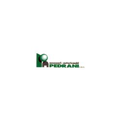 Accessori - Autoricambi Pedrani, Gerenzano orari di apertura