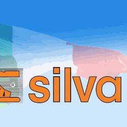 Silva snc, Loreto orari di apertura
