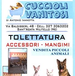 Cuccioli Vanitosi, Sant'Agata di Militello orari di apertura