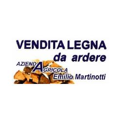 Azienda Agricola Martinotti Emilio, Chieri orari di apertura