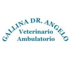 Ambulatorio Veterinario Gallina Dott. Angelo, Castiglione delle Stiviere orari di apertura