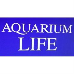Aquarium Life, Torino orari di apertura