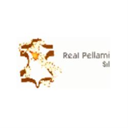 Real Pellami, Fucecchio orari di apertura