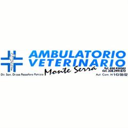 Ambulatorio Veterinario Monteserra, Calci orari di apertura