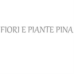 Fiori e Piante Pina di Lucidi Simone, Genazzano orari di apertura