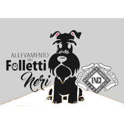 Allevamento Otello Schnauzer Nano, Roma orari di apertura