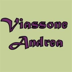 Viassone Andrea, Pinerolo orari di apertura