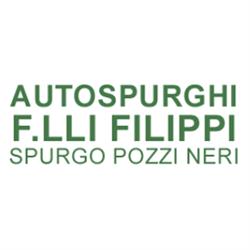Autospurghi F.lli Filippi - Pozzi Neri, Isola della Scala orari di apertura