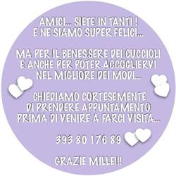 Allevamento Pensione Addestramento Stelle di Sirio, Roncadelle orari di apertura