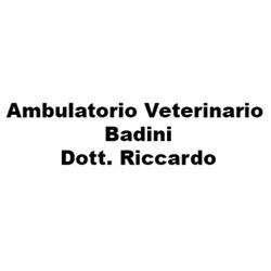 Ambulatorio Veterinario Badini Dr. Riccardo, Roncadelle orari di apertura