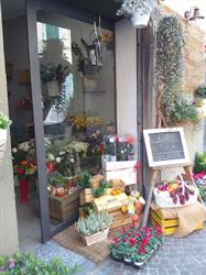 Fiorerie Vitali Enrico, Urgnano orari di apertura