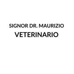 Veterinario Signor Dr. Maurizio, Mussolente orari di apertura
