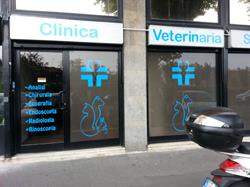 Clinica Veterinaria Santo Stefano, Milano orari di apertura