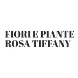 Fiori e Piante Rosa Tiffany, Monsampolo del Tronto orari di apertura