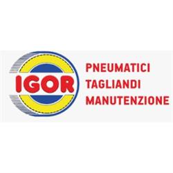 I.G.O.R. Pneumatici - Autofficina, Torino orari di apertura