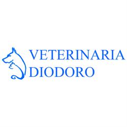 Veterinaria Diodoro, Palermo orari di apertura