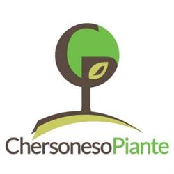 Vivai Chersoneso Piante, Milazzo orari di apertura