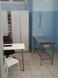Studio Associato Veterinario Razzauti Daolio Anguillesi, Livorno orari di apertura