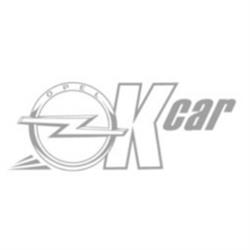 Officina Ok Car - Autorizzata Opel, Ravenna orari di apertura
