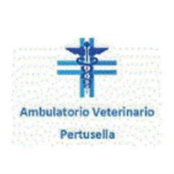 Clinica Veterinaria Pertusella Dr. Basilico e Dott.ssa Basta, Caronno Pertusella orari di apertura
