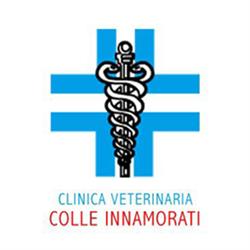 Clinica Veterinaria Colle Innamorati, Pescara orari di apertura