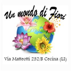 Un Mondo di Fiori, Cecina orari di apertura