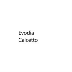 Evodia Calcio A 5, Roma orari di apertura