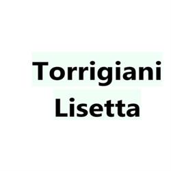 Torrigiani Lisetta, Capannori orari di apertura