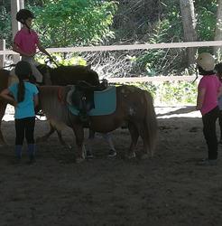 Centro Equestre L' Airone, Santa Cristina e Bissone orari di apertura