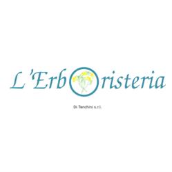 L'Erboristeria Di Tenchini Srl, Darfo Boario Terme orari di apertura