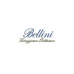 Tinteggiature e Sabbiature Bellini, San Felice del Benaco orari di apertura