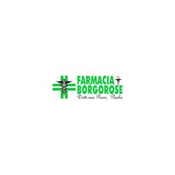 Farmacia Borgorose Snc, orari di apertura