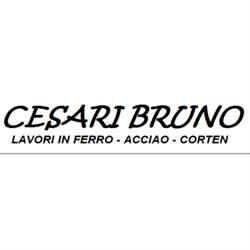 Cesari Bruno Lavorazioni in Ferro e Metalli, Viole di Assisi orari di apertura
