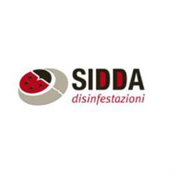 Sidda Disimpest, Firenze orari di apertura