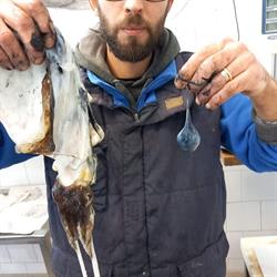 La Pescheria di Lineri, Catania orari di apertura