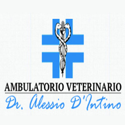 D'Intino Dr. Alessio, Chieti orari di apertura