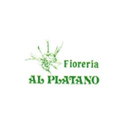 Fioreria al Platano, Castions di Strada orari di apertura