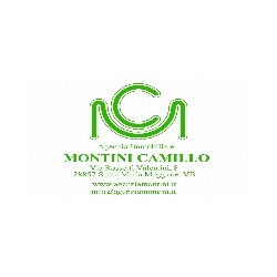 Agenzia Immobiliare Montini Camillo, Santa Maria Maggiore orari di apertura